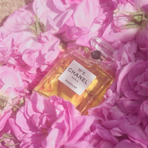 raw chanel no. 5's key rose|chanel no 5 and mace.